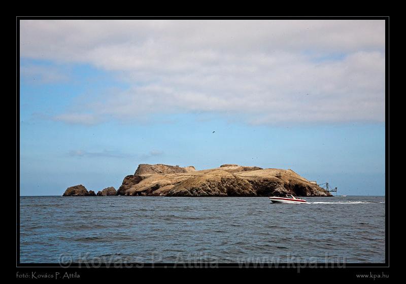 Ballestas Islands 051.jpg